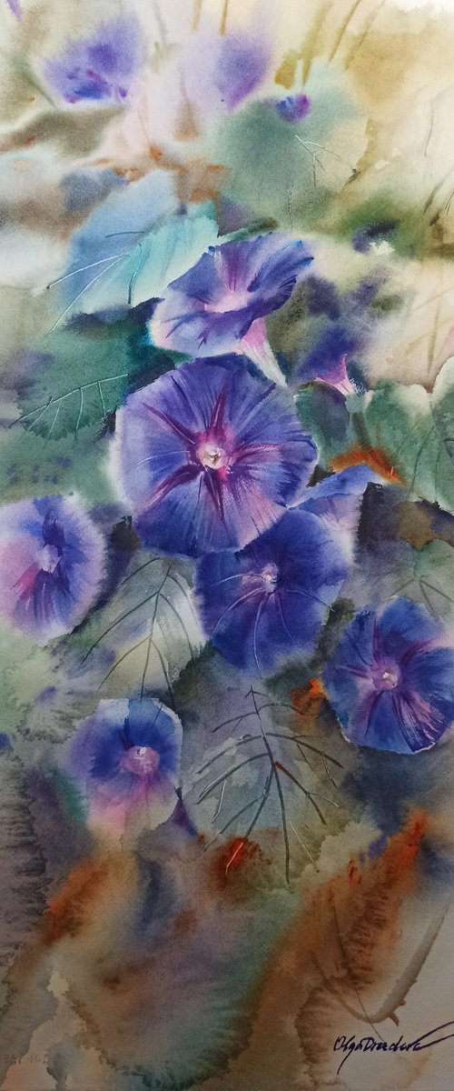 Blue bells flowers by Olga Drozdova