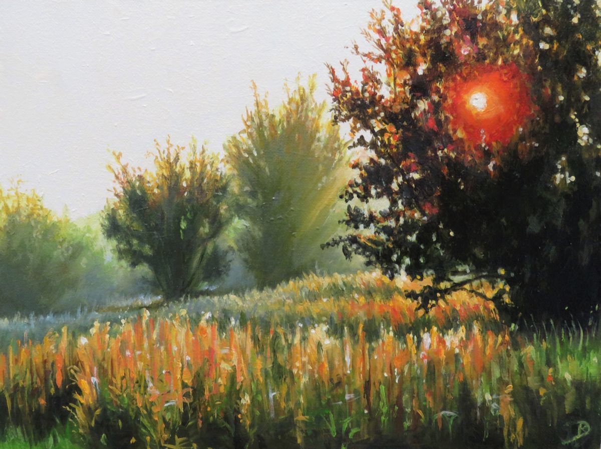 Photorealistic Landscape Oil Painting By Kerry Lisa Davies, 9 X 7", Autumn Glow, Original Artwork