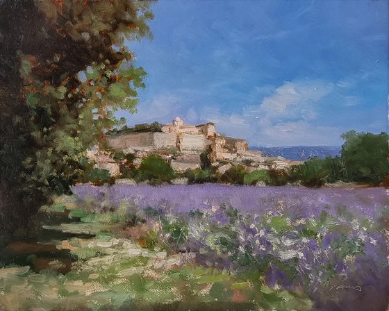 Lavender Field at Grignan