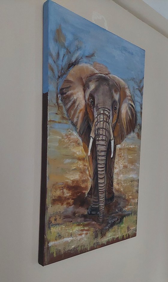 Guardian of the Savannah