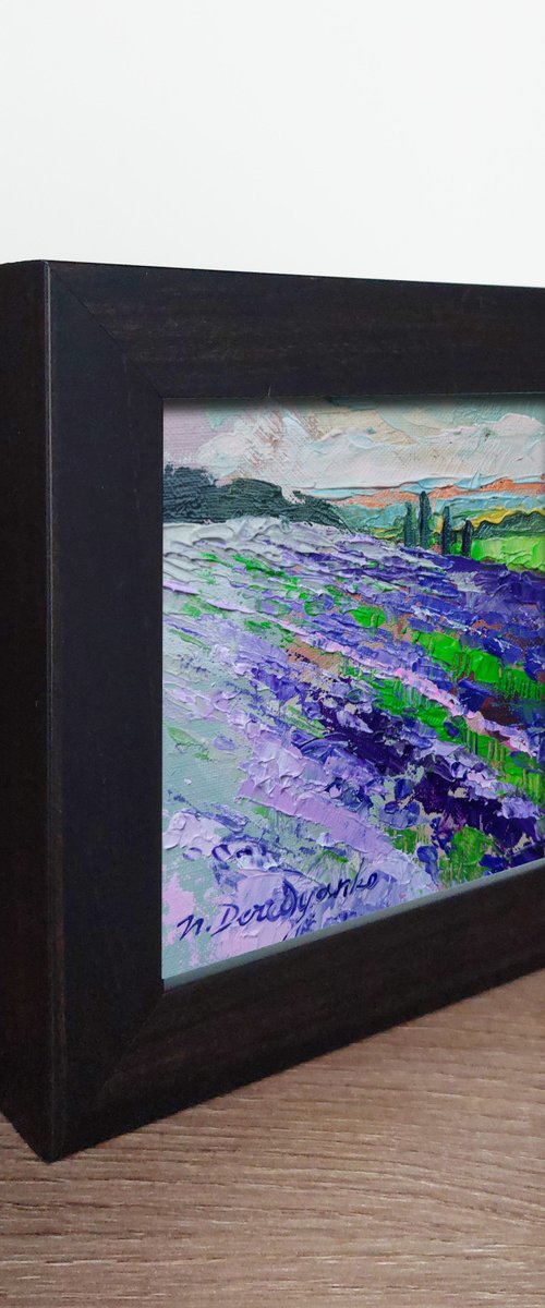 Yorkshire Lavender flowers by Nataly Derevyanko