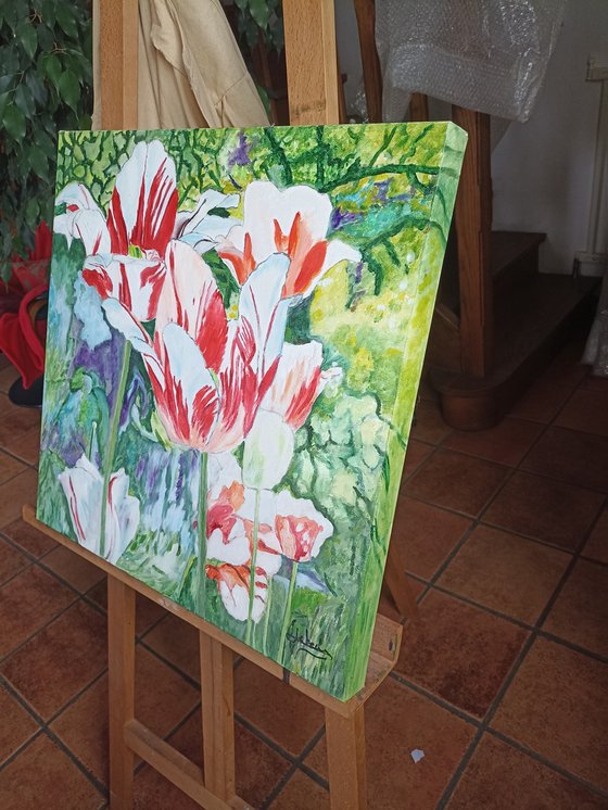 Tulips flowers
