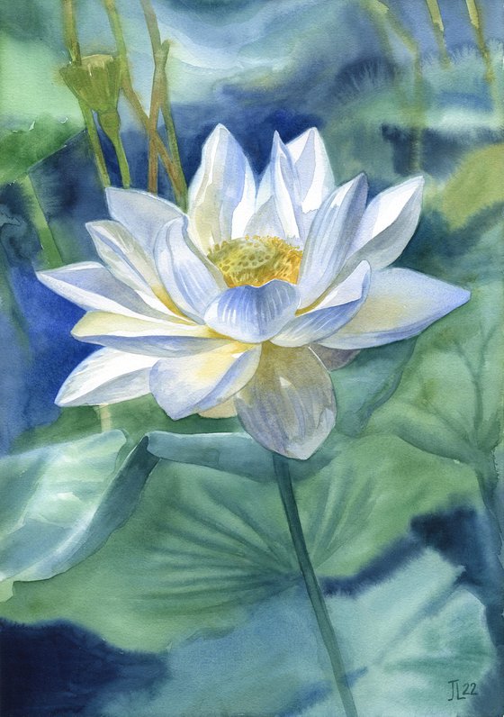 Lotus of Peace original watercolor painting gift for her white lotuses flower floral water lily