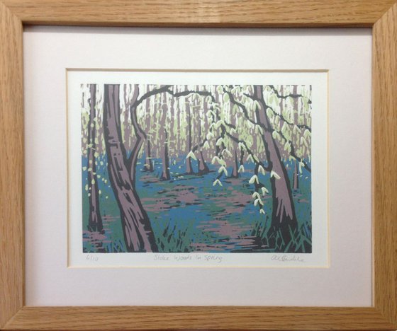 Stoke Woods in Spring, framed