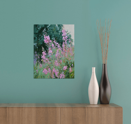 Fireweed blooms