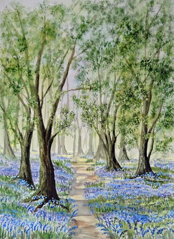 Bluebell woods 16" x 20" mounted