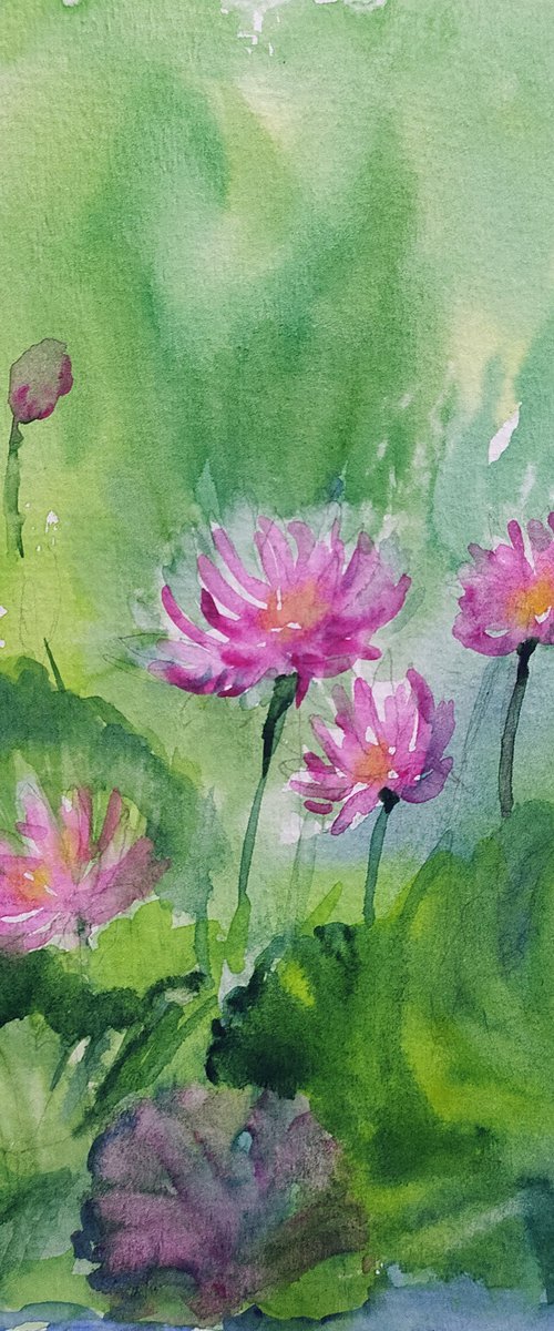 Pink Water Lilies Sl. No 16 by Asha Shenoy