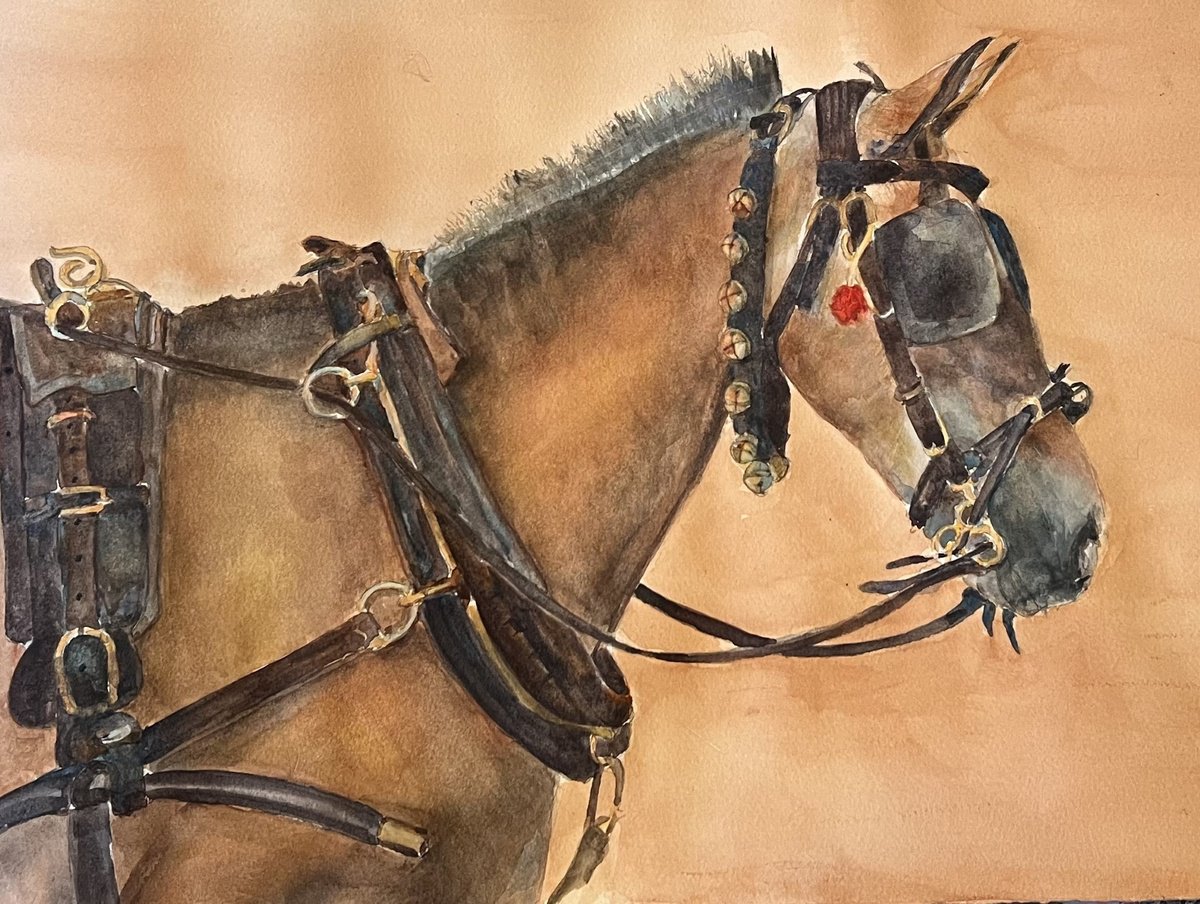 Impressionistic Animal Watercolour By Bronwen Jones, 18 X 14, Carriage Horse, Original Artwork
