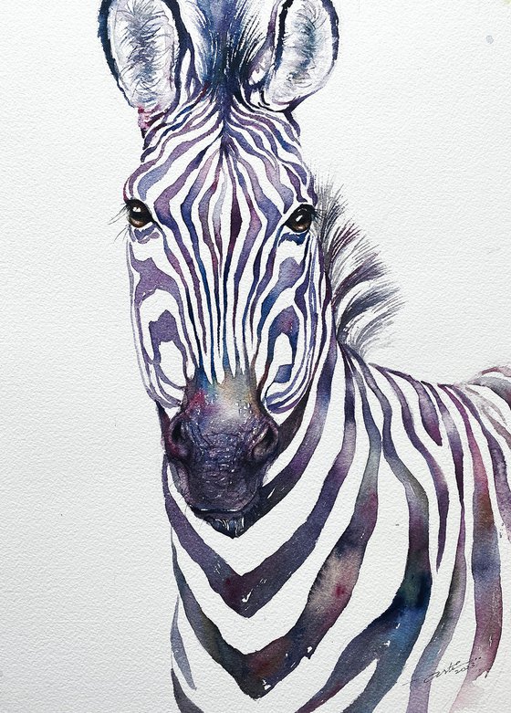 Zebra Johan