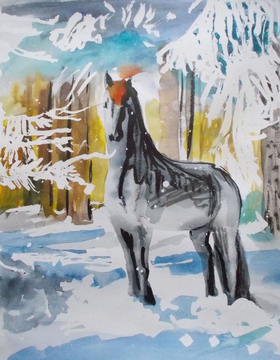 Horse,winter