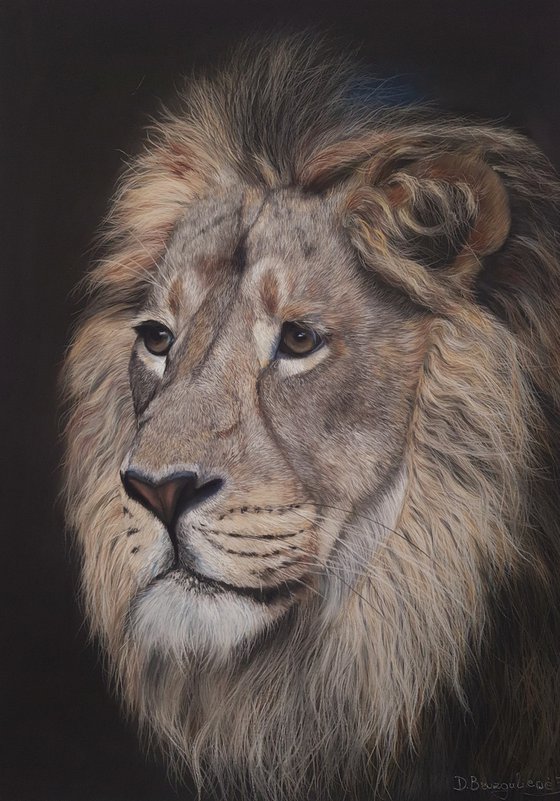 The king realism wild animals pastel on pastelmat