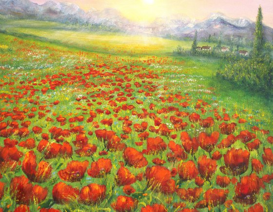 Serene poppy field