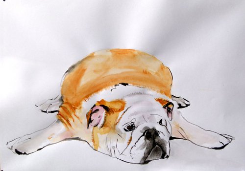 bulldog by Soso Kumsiashvili