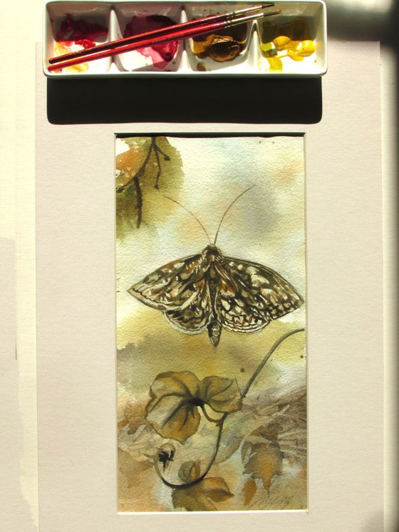 Autumn moth