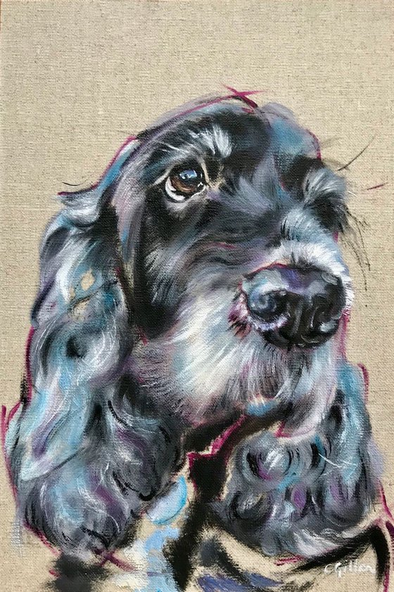 Blue - Cocker Spaniel original oil painting 12x8"