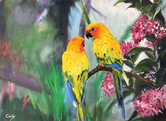 Yellow Parrots