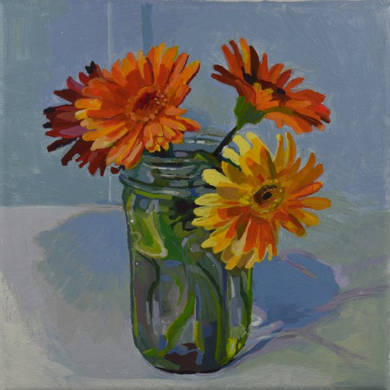 Gerberas