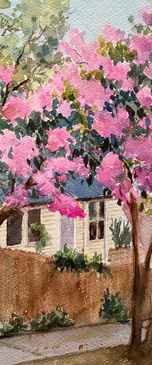 House with Crepe Myrtle by Shelly Du