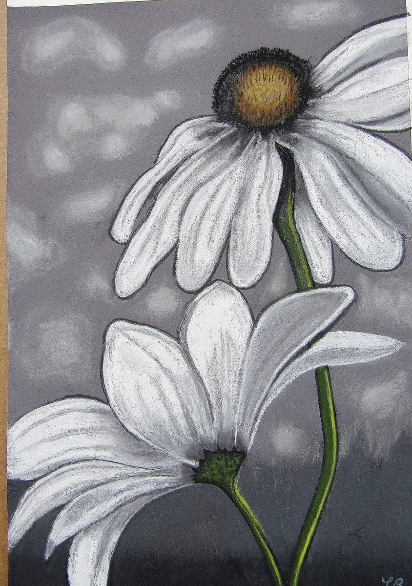 White Daisies on Grey by Linda Burnett