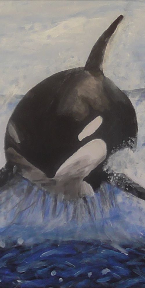 Orca Breach by Robbie Potter