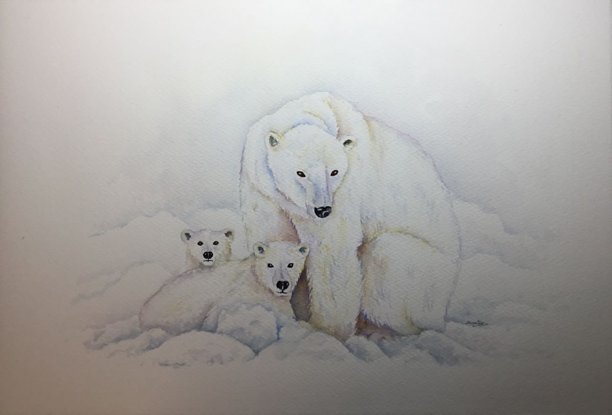Polar Bear family Watercolour: Sabrina's Art | Artfinder