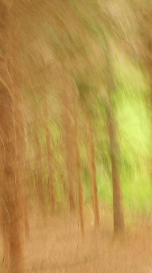 GREEN........ by PHILIPPE BERTHIER