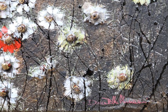 spring is coming