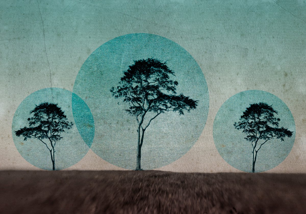 Landscape Photograph By Claire Newman-Williams, 24 X 18, Eulerian Circles, Original Artwork