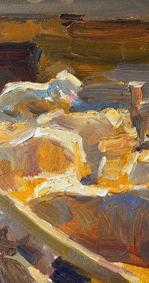 Sheep in the Carpathians by Nataliia Nosyk