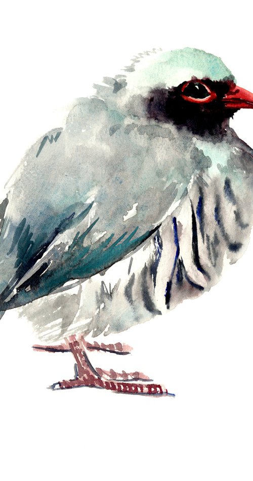 Rock partridge, Bird painting by Suren Nersisyan