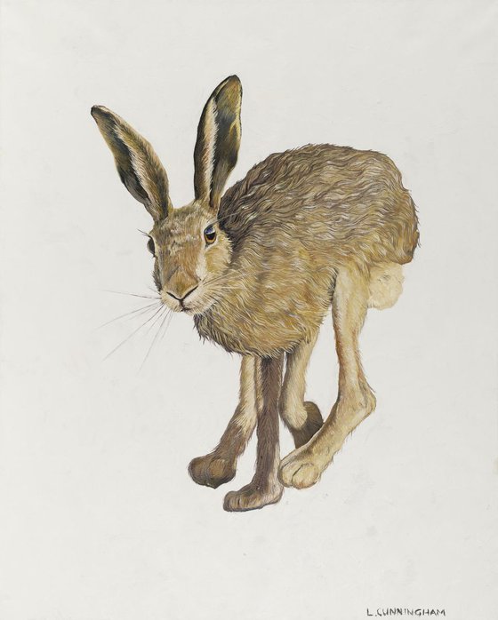 March Hare 2