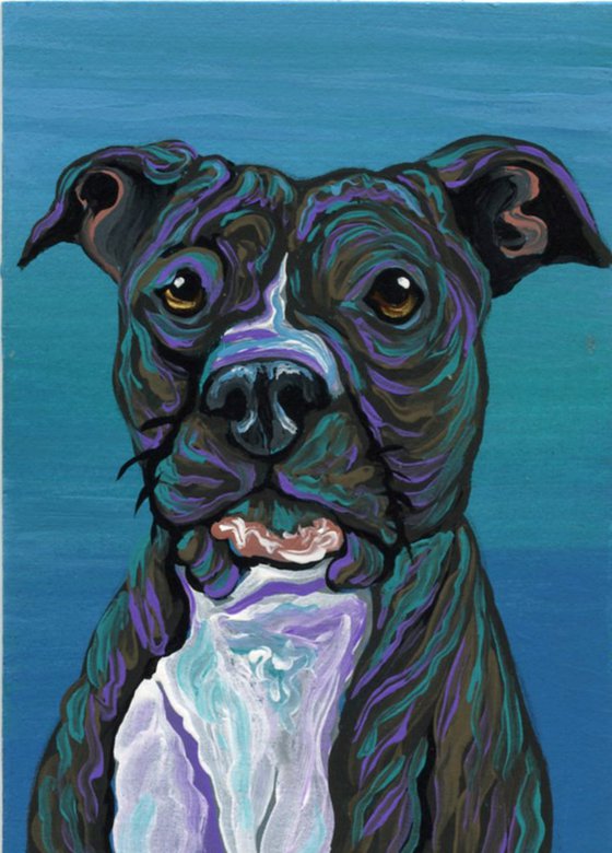 ACEO ATC Original Miniature Painting Pit Bull Pet Dog Art-Carla Smale