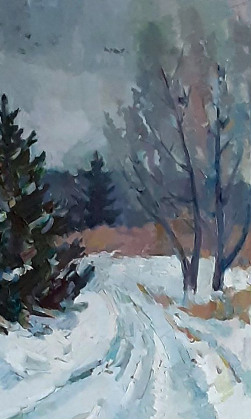 Christmas Trees Covered with Snow by Peter Tovpev