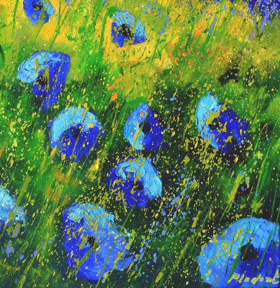 Blue poppies