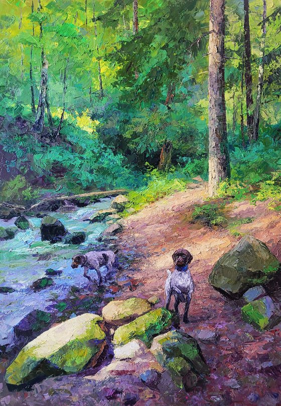 Mountain Stream in the Forest