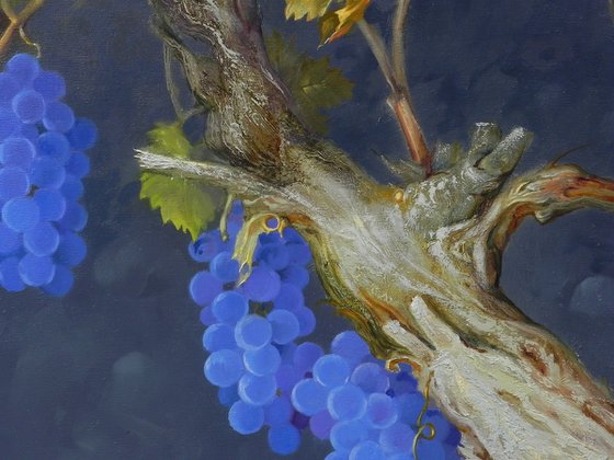 “The charm of the grapevine”