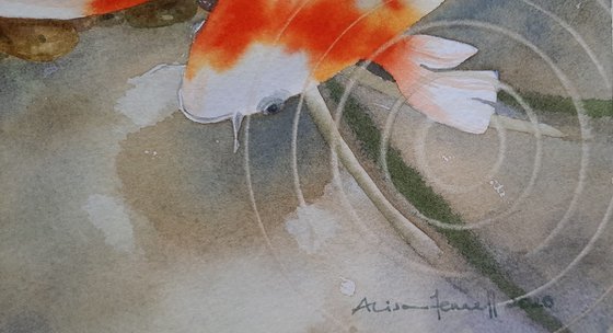 Calming Carp