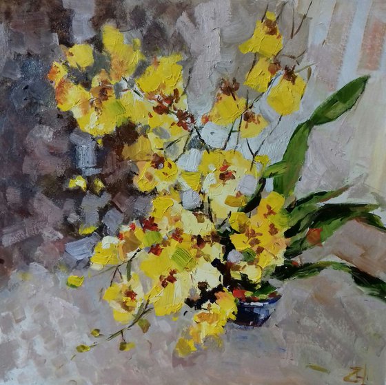 Yellow orchids