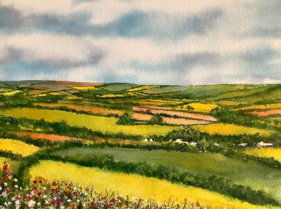 Summer landscape
