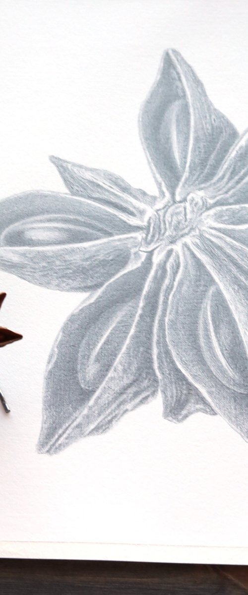 Star Anise Silverpoint by Yuliia Moiseieva