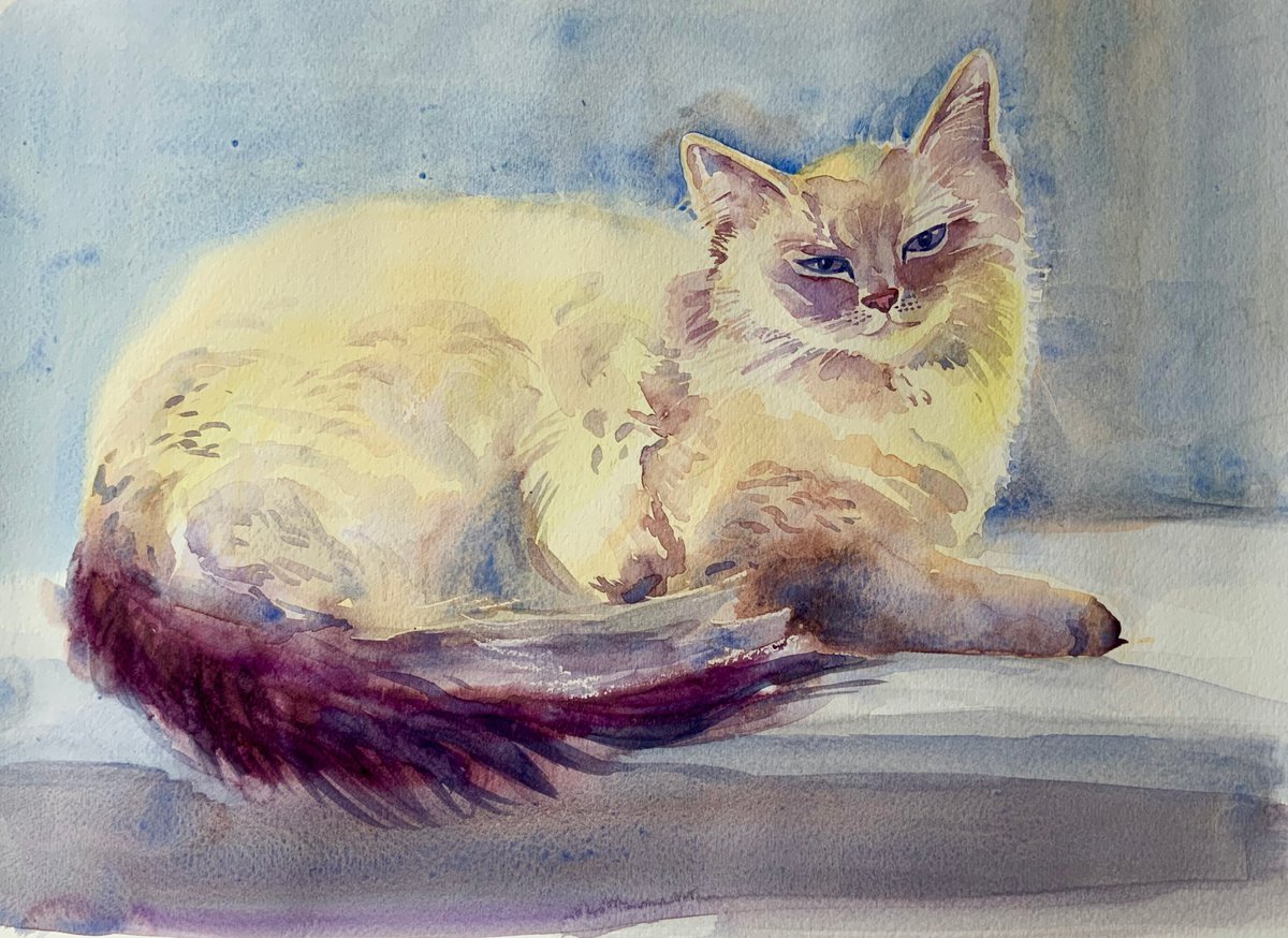Impressionistic Animal Watercolour By Mary Stubberfield, 16 X 11", Window Cat, Original Artwork