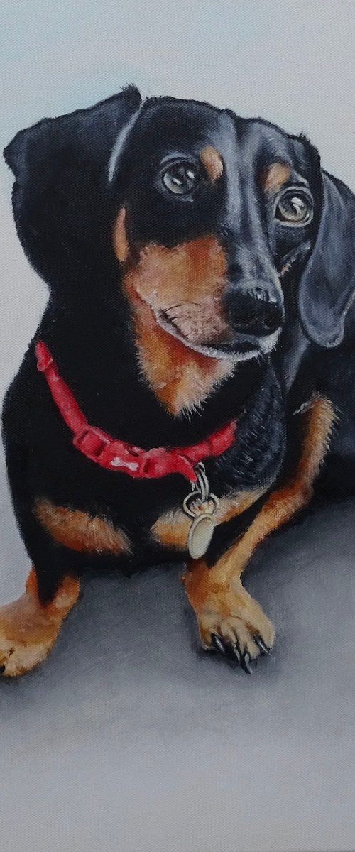 Little Dachshund ( Prints available) by Mel Davies Original Art