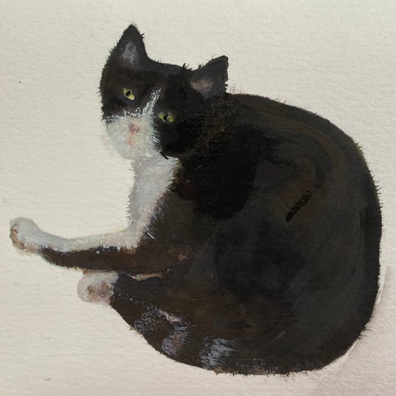 Two Black Cats framed