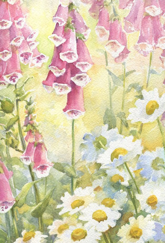 White daisies and pink foxgloves / Original floral watercolor Summer flowers picture
