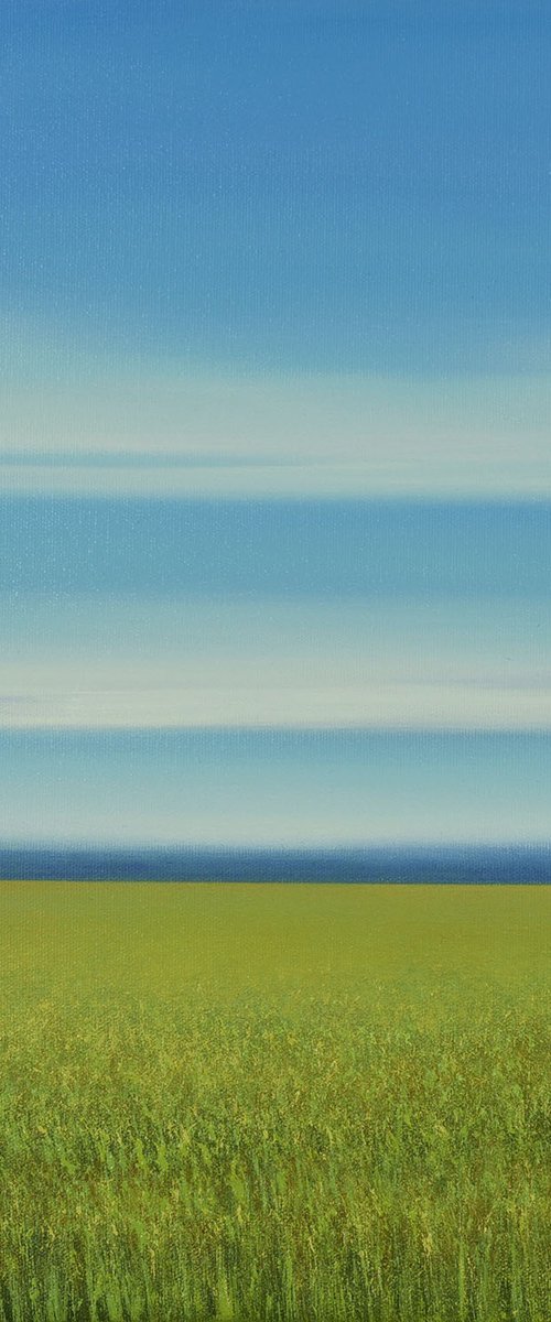 New Day - Blue Sky Landscape by Suzanne Vaughan