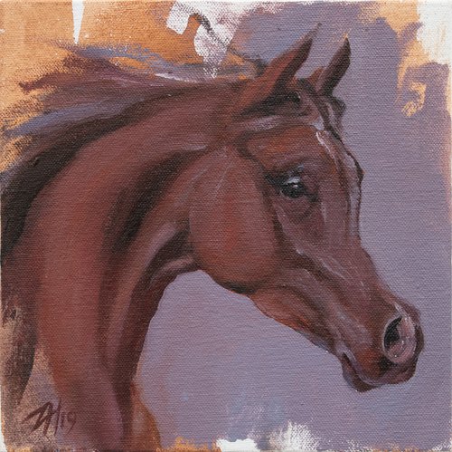 Equine Head Arab Chestnut (study 22) by Zil Hoque