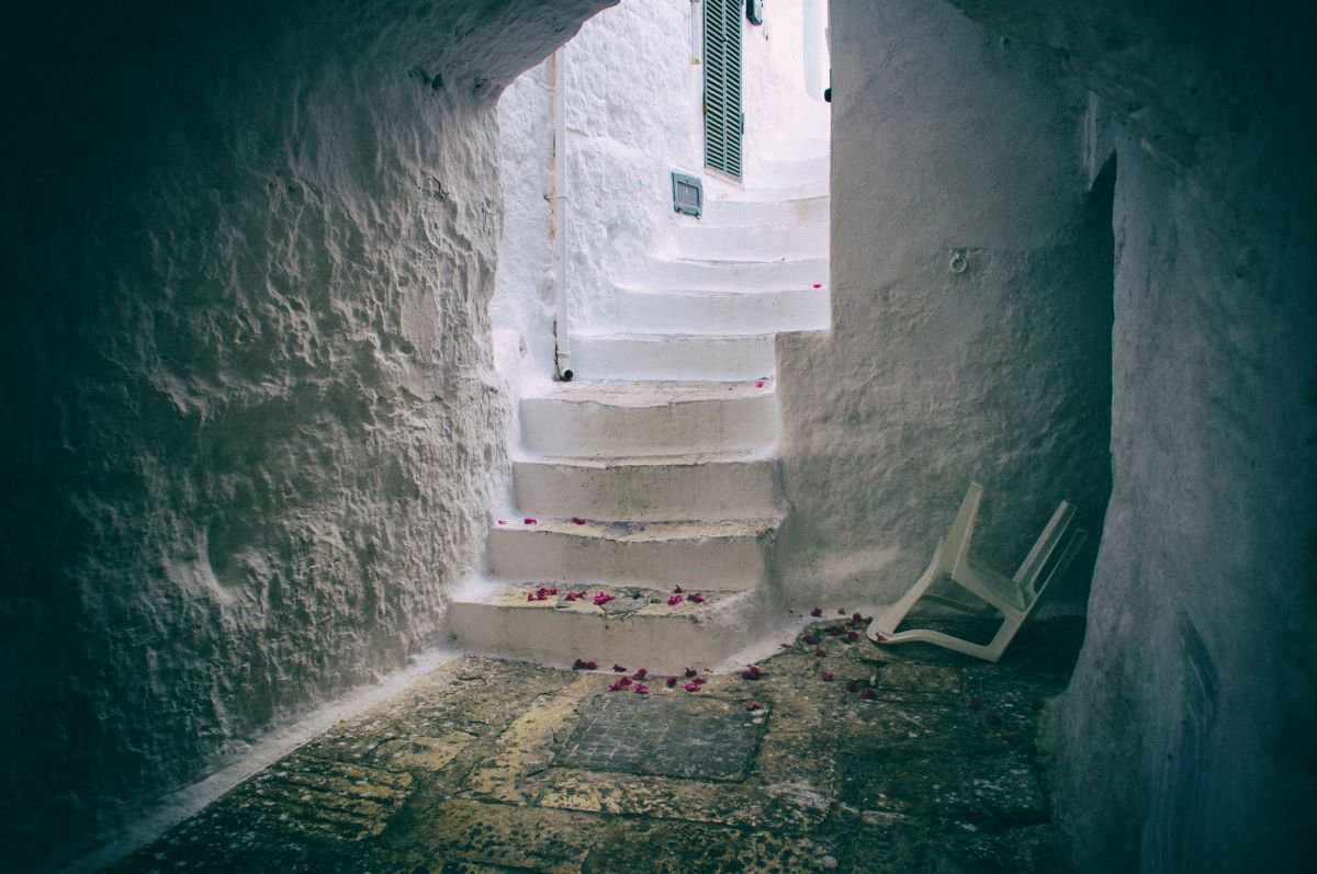 Organic Still Life Photograph By Marc Ehrenbold, 40 X 30", The Aftermath, Original Artwork