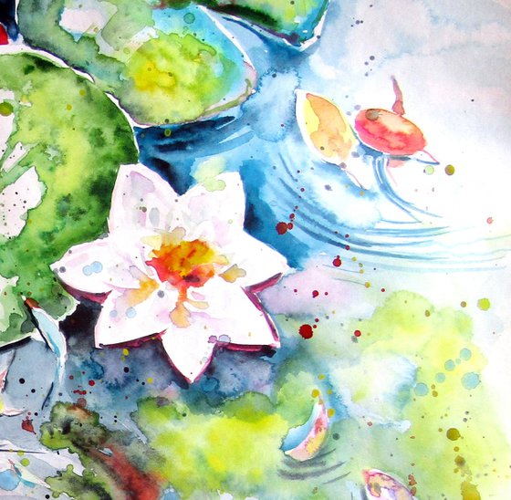 Fall and water lilies