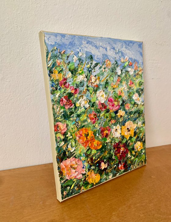 Strawflowers