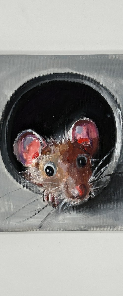 Curiosity in the Shadows: Mouse in a Pipe by VICTO